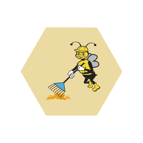 Handy Bee Fall featured image