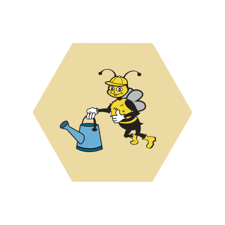 Handy Bee Spring featured image